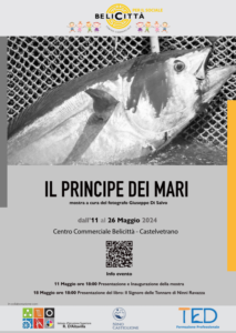 locandina principe dei mari