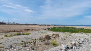 Porto di Livorno-Darsena Europa: completati al 60% i lavori di consolidamento della prima vasca di colmata