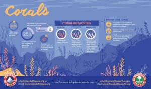 save the corals