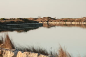 Laguna di Acquatina