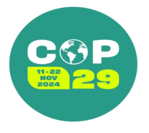 Cop29 a